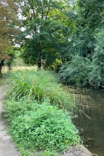 wandle trail