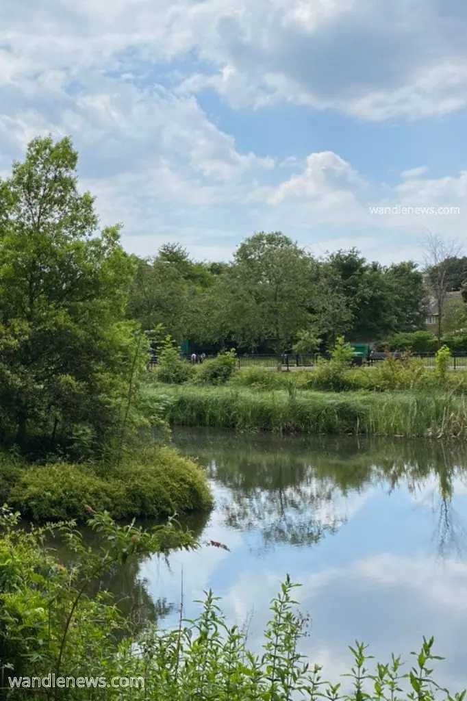 The lake in King George's Park Wandsworth