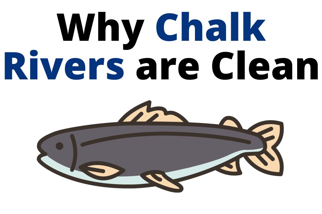 What is Special About Chalk Rivers?