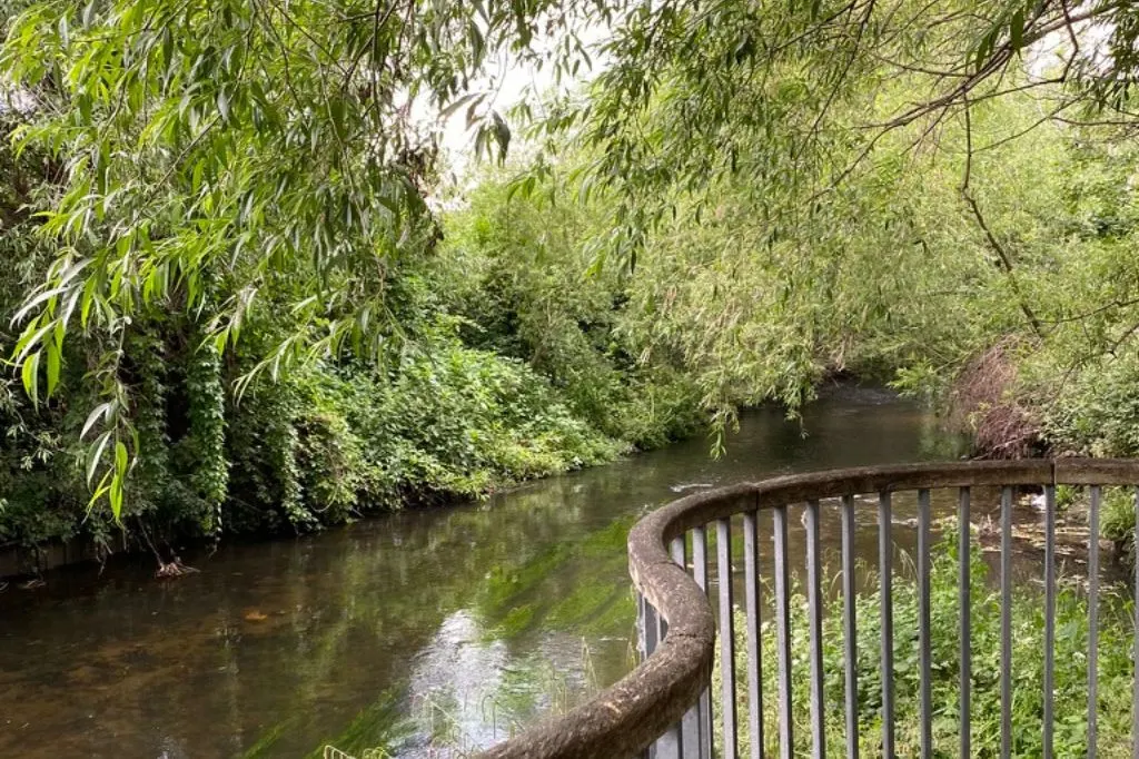 The viewing platform where the River Wandle meets the Graveney. Photograph by Olivia Herlihy.