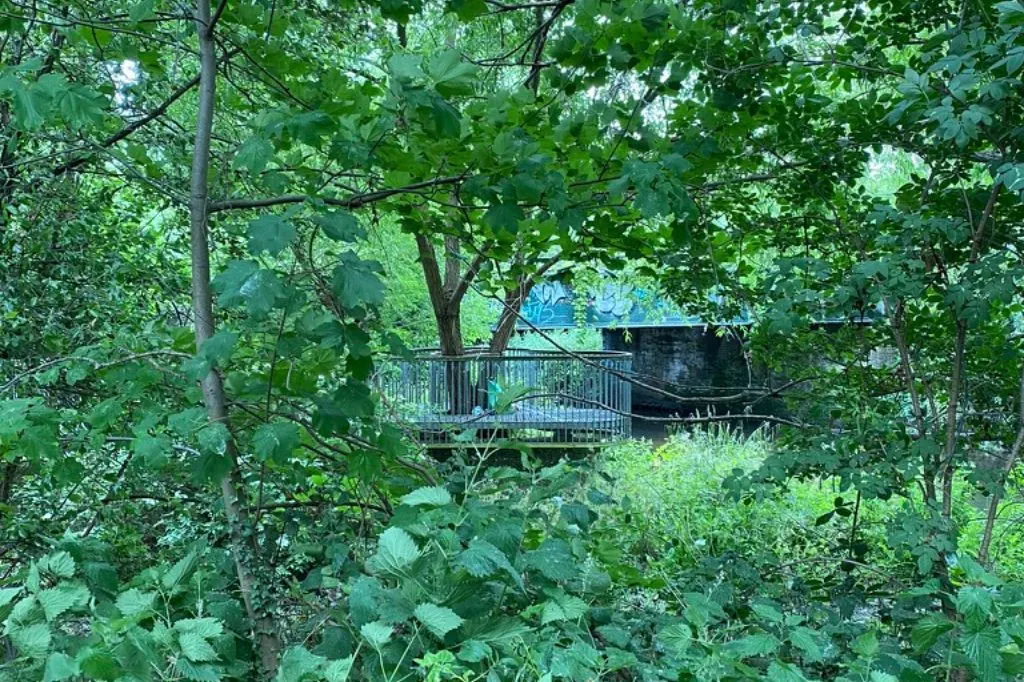 The viewing platform where the River Wandle meets the Graveney.  Photograph by Olivia Herlihy.