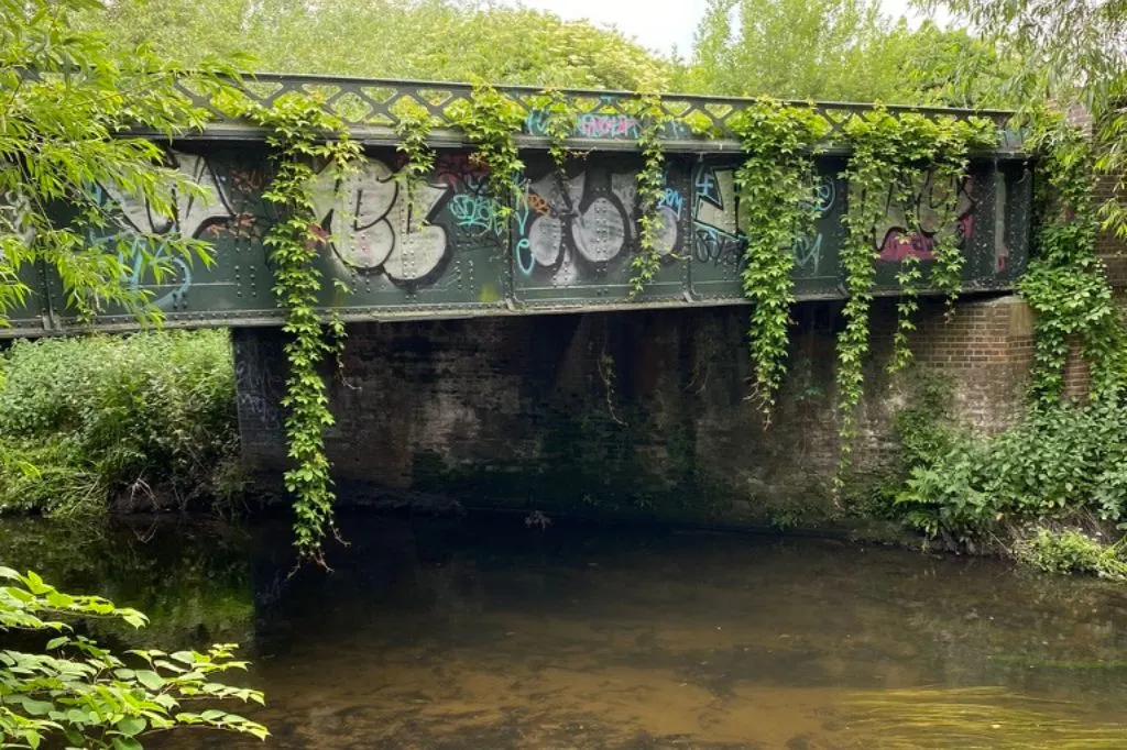 River Wandle at the point where it meets the Graveney