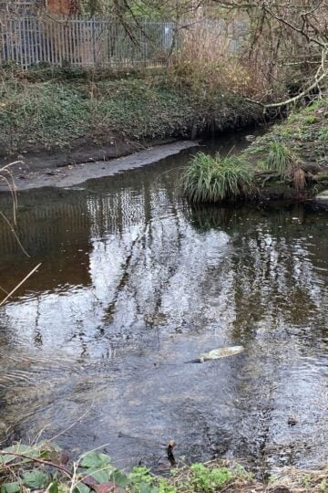 river wandle