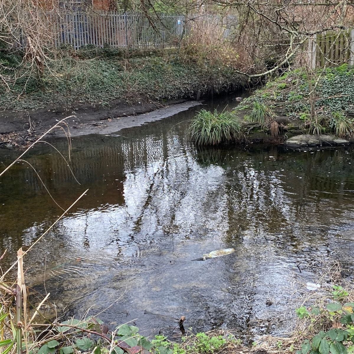 river wandle