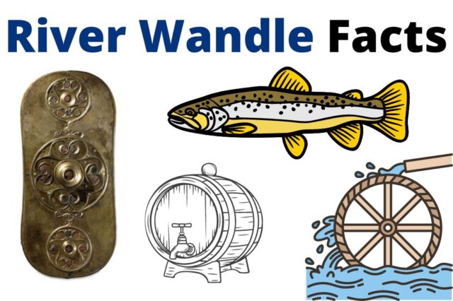 river wandle facts