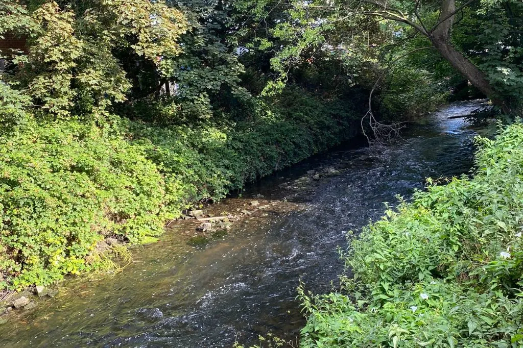 Why are there so many chalk rivers in England?