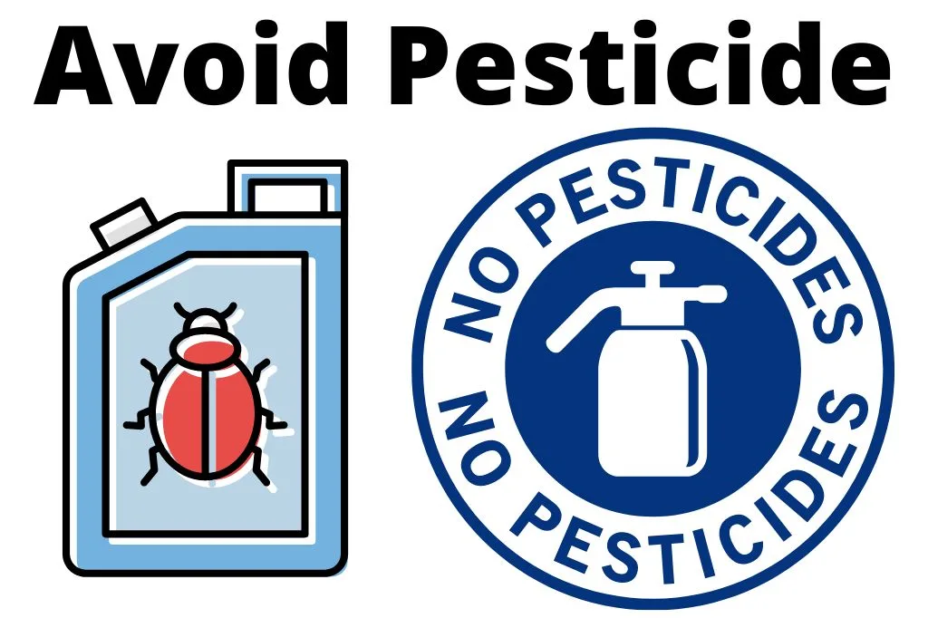 Avoid Using Pesticides