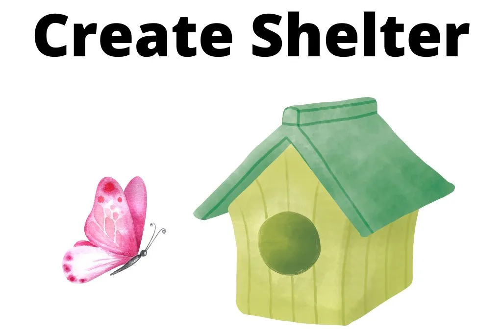 Create Shelter for Butterflies