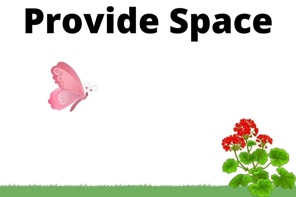 Provide Enough Space for the Butterflies to Fly