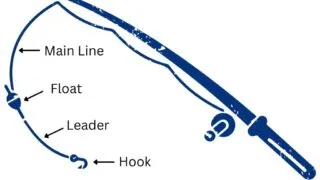 What is a Fishing Leader and Do You Need One?