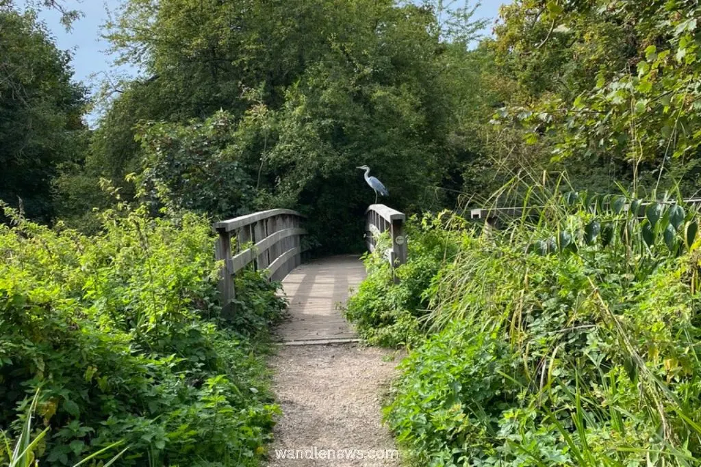 Watermeads Nature Reserve