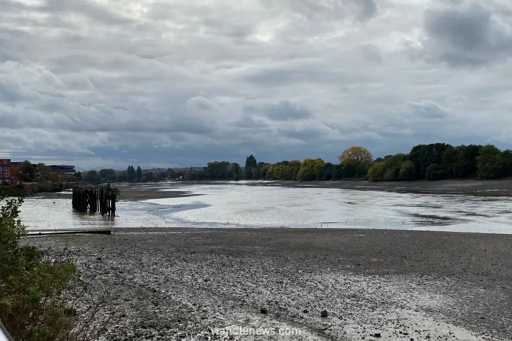 River Thames in Fulham