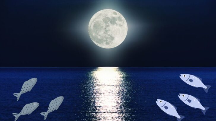 full moon fishing