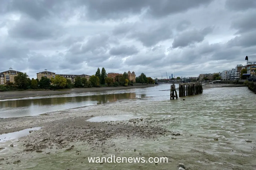 Low tide close to Hammersmith bridge