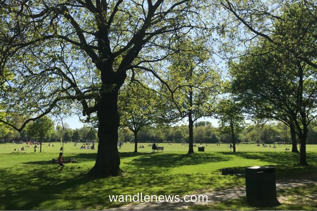 Wandsworth Common