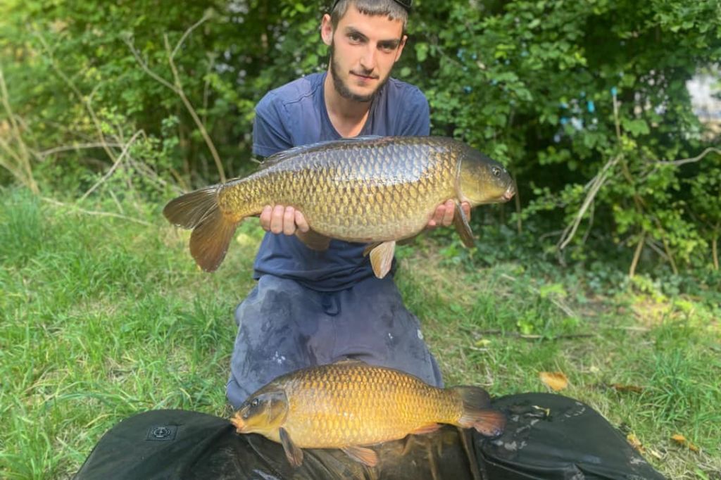 Common Carp with smaller ghost carp caught by Luke Stoneman on the River Wandle