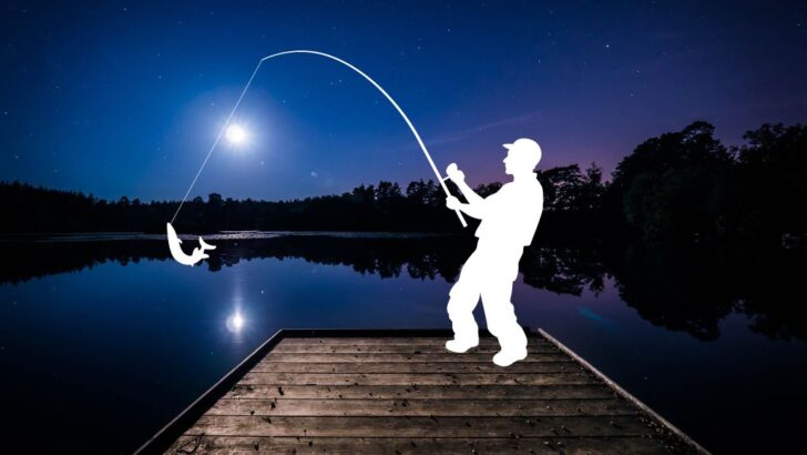 do trout bite at night