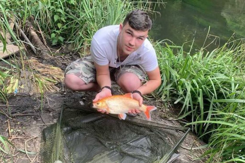 Golden Orfe found in the river Wandle.  Photograph by Lee Friend