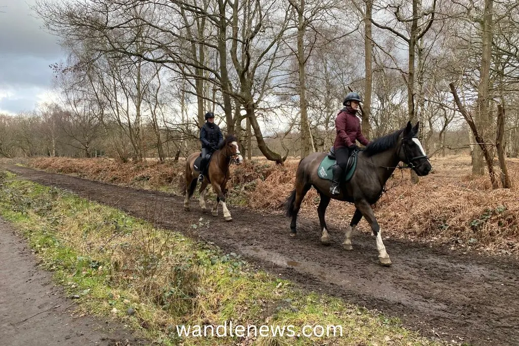 Horse riders on Wimbledon Common