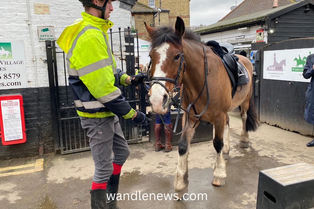 Wimbledon Village Stables