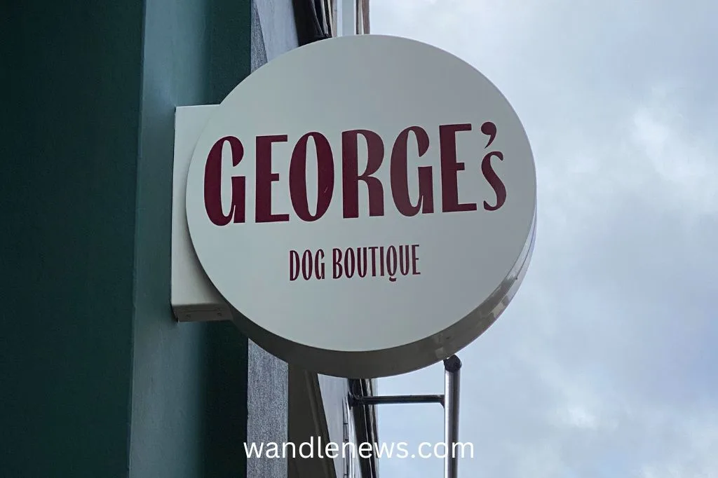 Dog boutique wimbledon