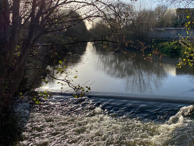 The River Wandle Wandle News   River Wandle  