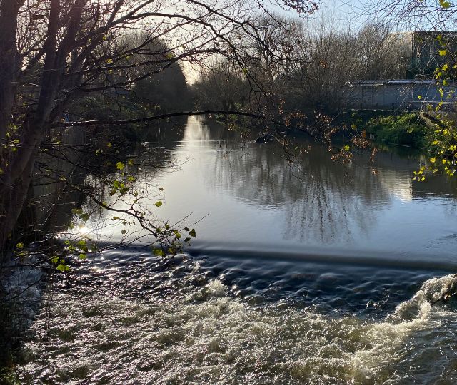 river wandle