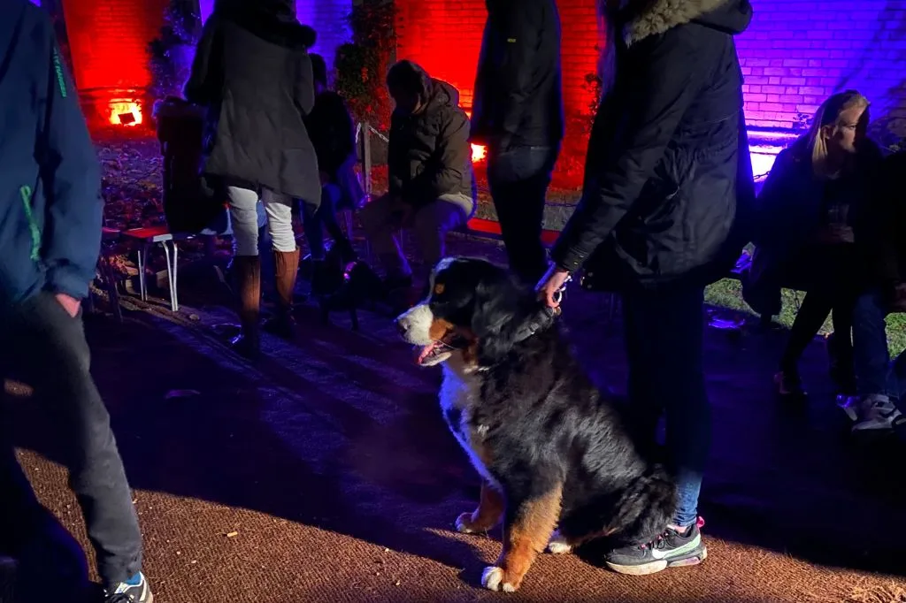 A dog at the Wandsworth Common Beer Festival