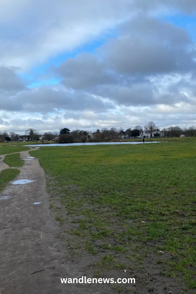 Wimbledon Common