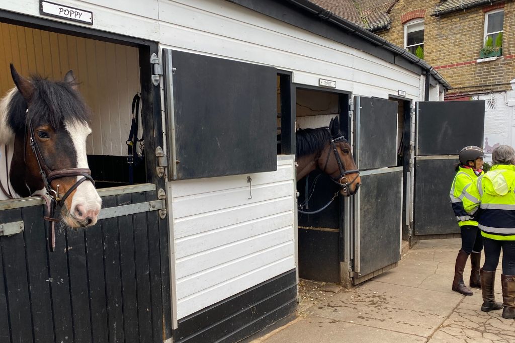 wimbledon area guide