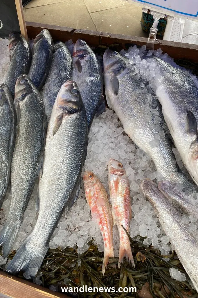 Fish stall at Wimbledon Farmer's Market