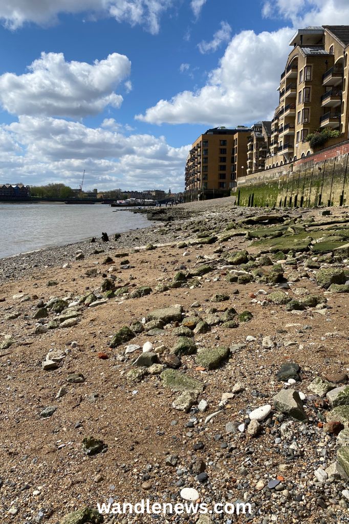 Thames foreshore