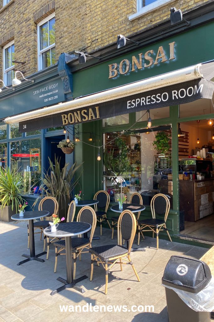 Bonsai on Bellevue Road in Wandsworth