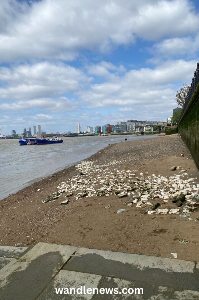 Greenwich Beach on the River Thames in London