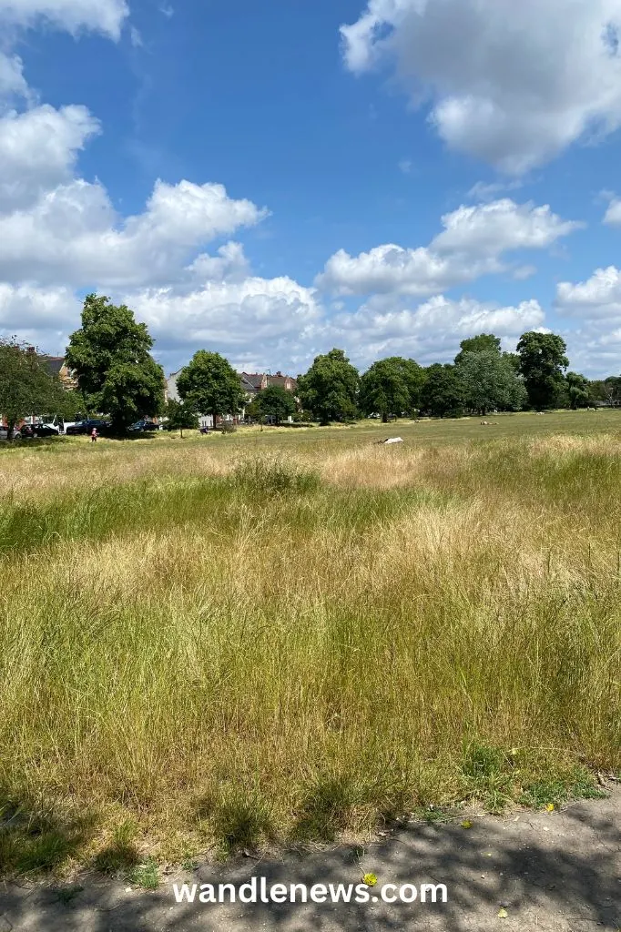 Tooting Bec Common