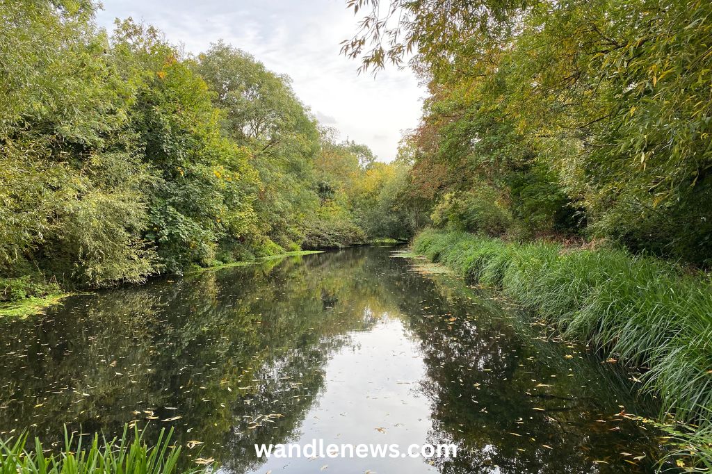 River Wandle during Wandle Fortnight