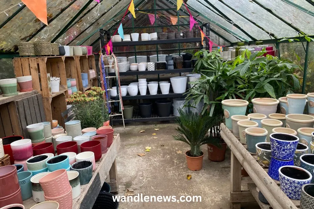 Inside the greenhouse