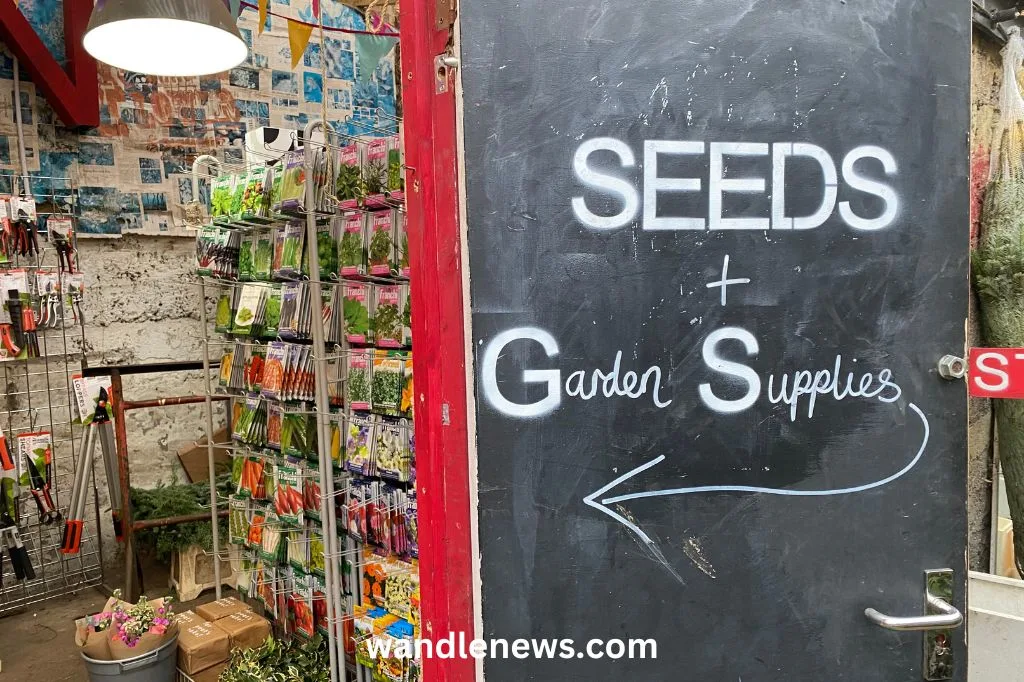 Seeds and garden supplies