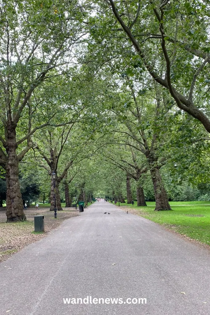 Battersea Area Guide:  Battersea Park