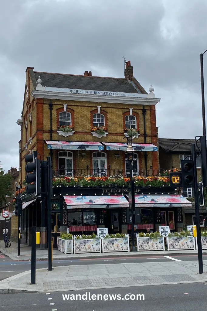 Battersea Area Guide:  The Duchess Belle Pub