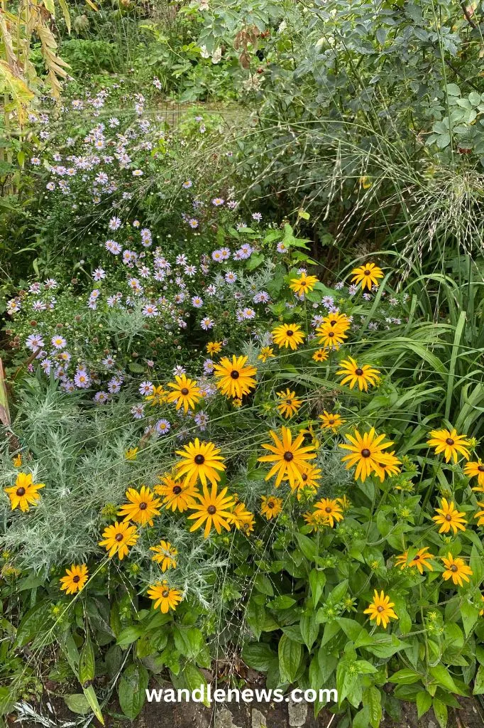 Old English Garden in Battersea Park