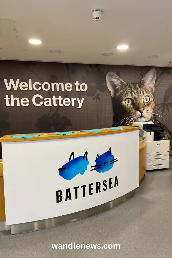 The Cattery