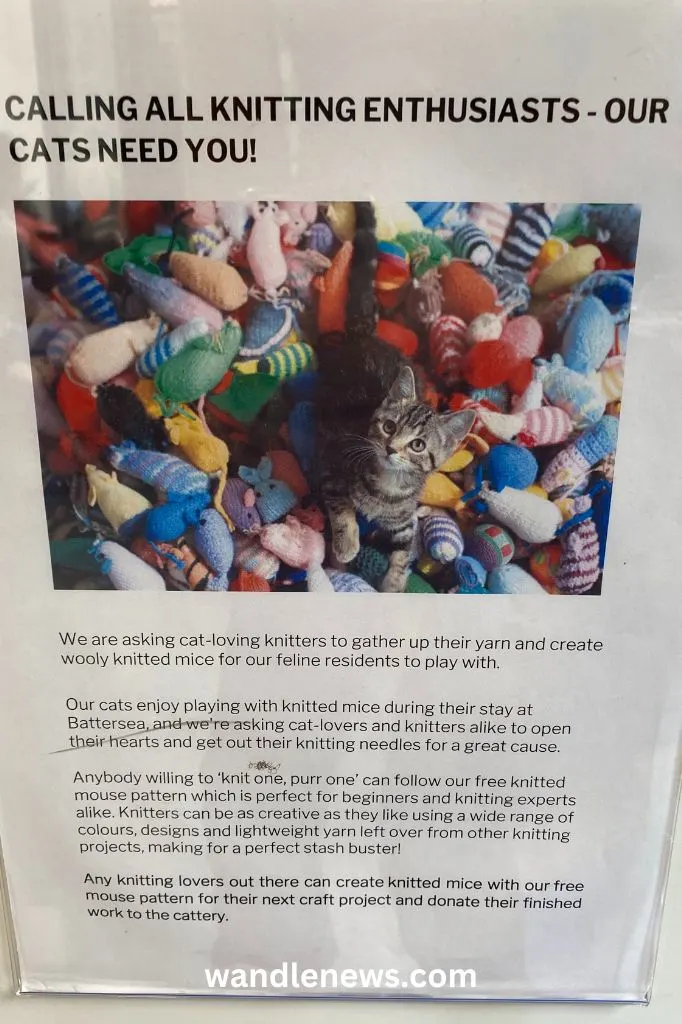 Sign at The Cattery