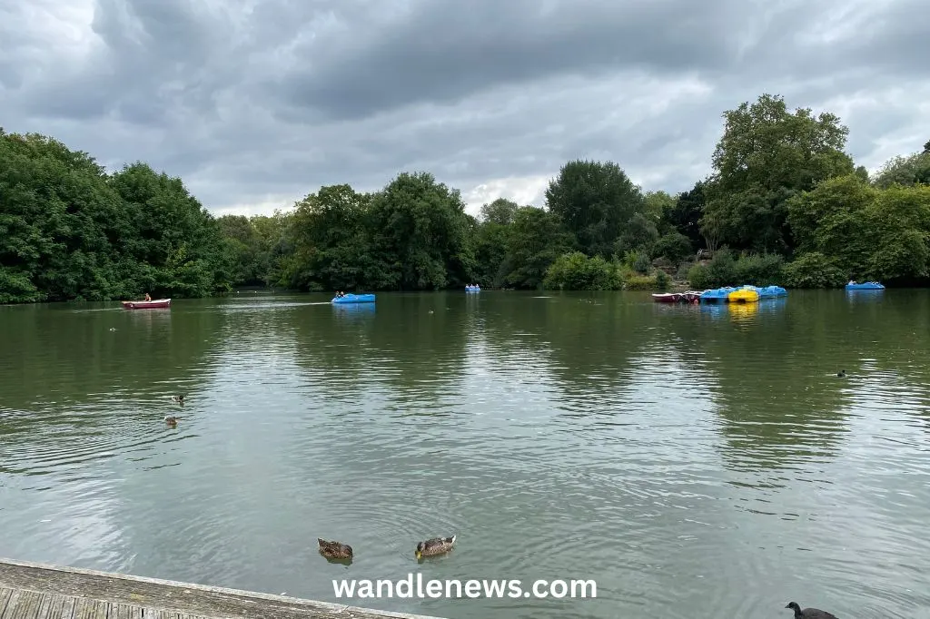 Bluebird Boats