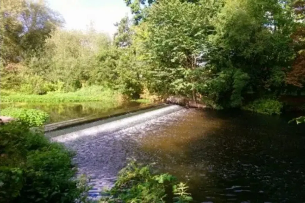 Green Walk