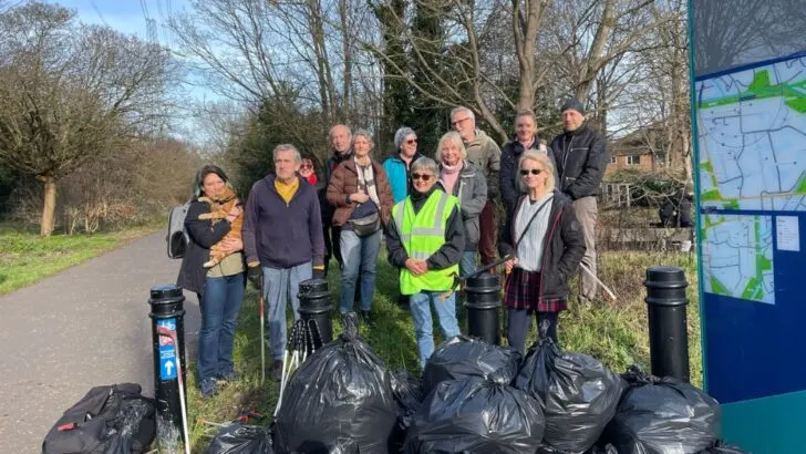 Litter pick