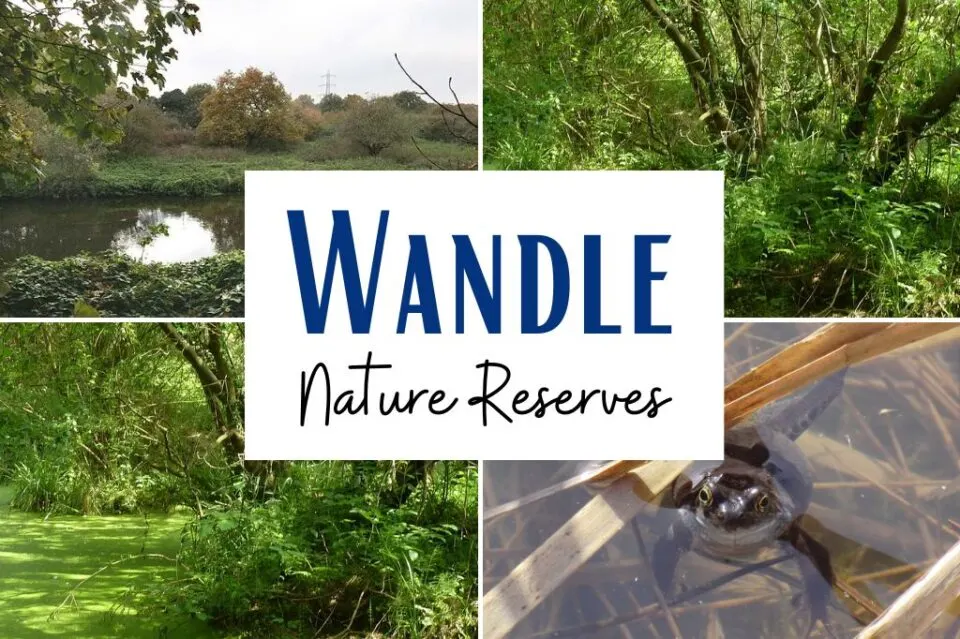 wandle river nature reserves