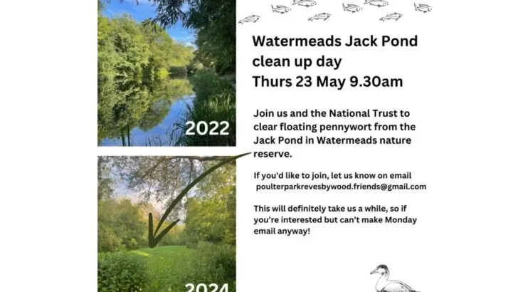 Jack Pond Watermeads
