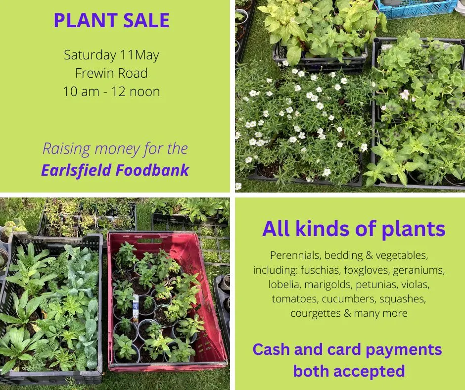 Plant Sale Fr