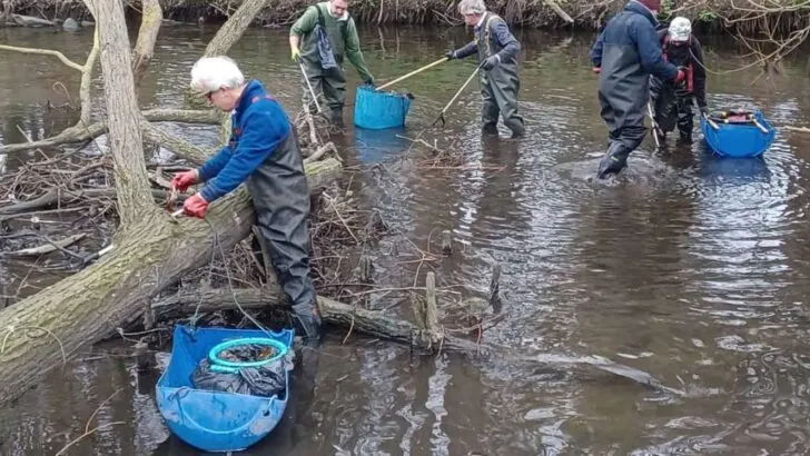 There will be a river clean up in Poulter Park, organised by South East Rivers Trust for London Rivers Week. You can either work from the bank, or put on waders and remove litter and plastic pollution from the water.